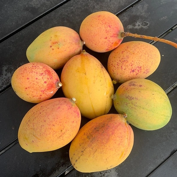 Mango -500Gm