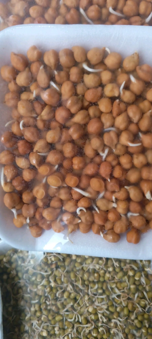 Chana Sprouts 