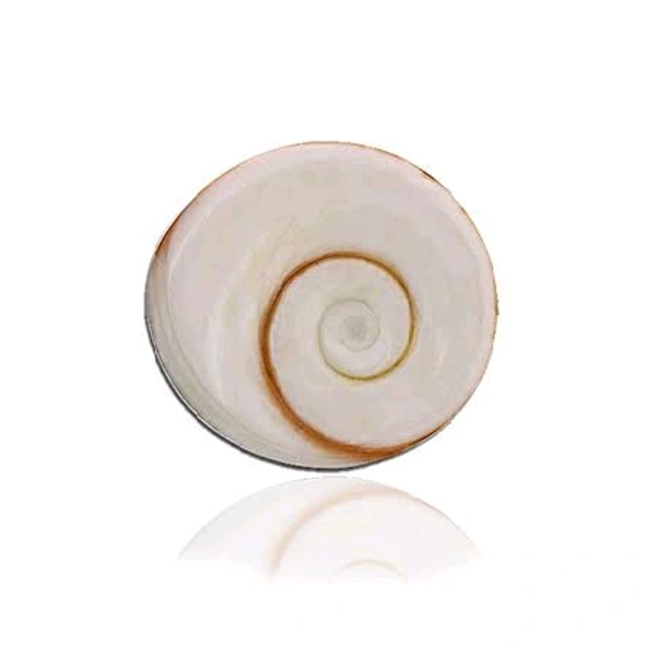 Gomti Chakra-2pc