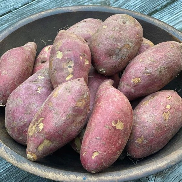 Sweet Potato Shakarkandi-500gm