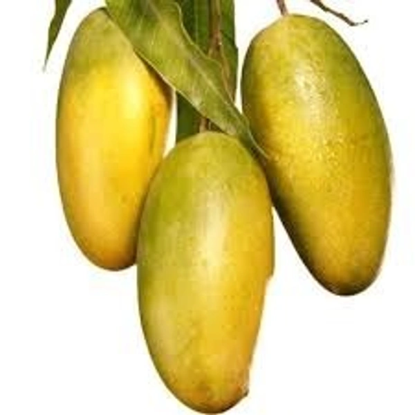 Mango Dasheri BIG - 1kg