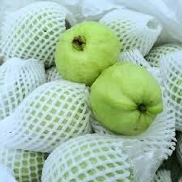 Guava Big - 500gm
