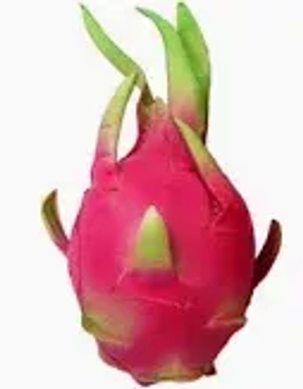 Dragon fruit 1pc