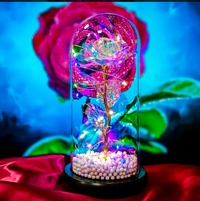 NIRVANA  Beautiful Rose Light Up Flower 