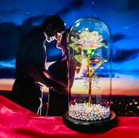 NIRVANA  Beautiful Rose Light Up Flower 