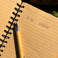 Bamboo Diary With Bamboo Pen ( 250 Pages ) - Pack Of 1