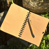 Bamboo Diary With Bamboo Pen ( 250 Pages ) - Pack Of 1