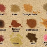 uniwax Stain out for tea coffee, pan masala, colour, black spot, food stain remover for cloth - 1 kg