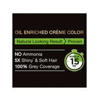Garnier Black Naturals 1.0
