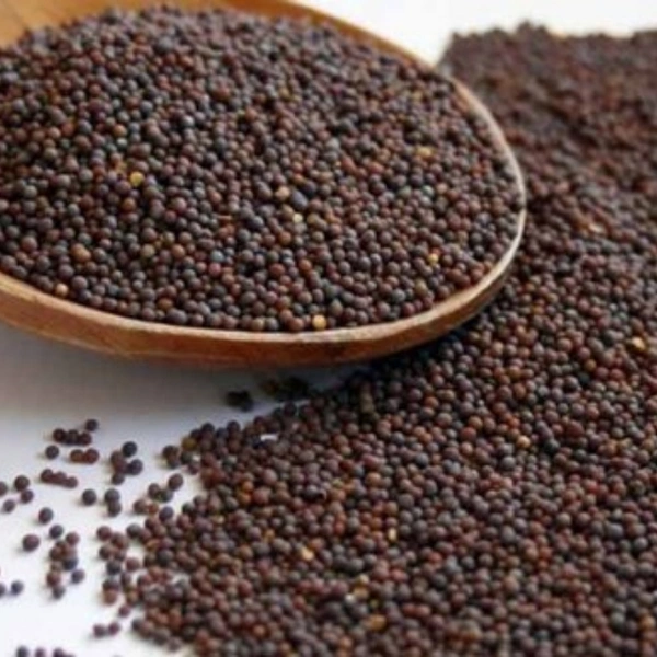 Mustard Seeds (Small) - 50gm