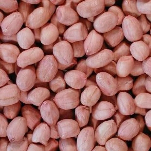 Raw Groundnut Fresh - 500gm