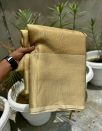 Bollywood Inspired Tissue Silk Saree - B04003