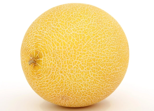 Musk Melon white / kharbooja /खरबूजा - 1kg