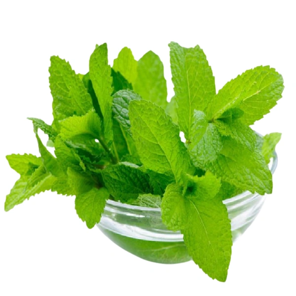 Mint Leaves/पुदीना ( 1 gaddi) - 50-100g