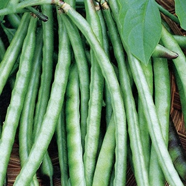 Cowpea beans ( Chavali) - 500 g