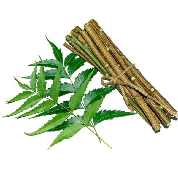 neem stick - 10 pieces
