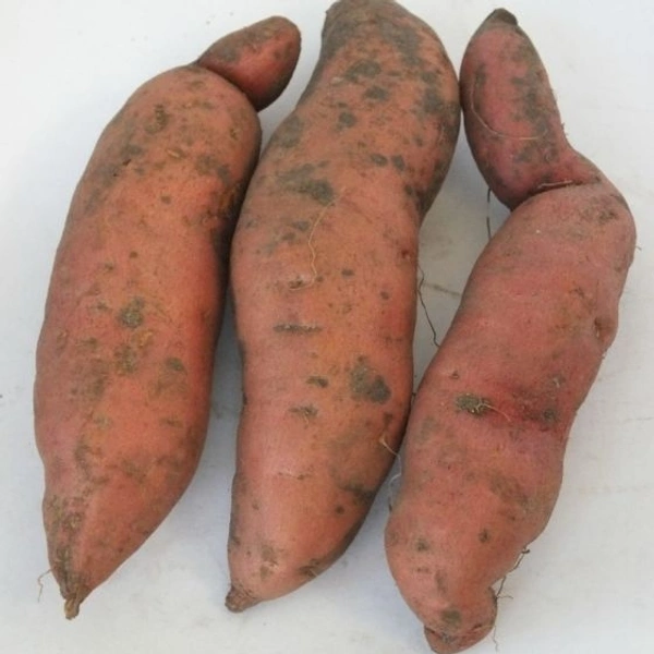 Sweet Potato / शकरकंद - 250 g