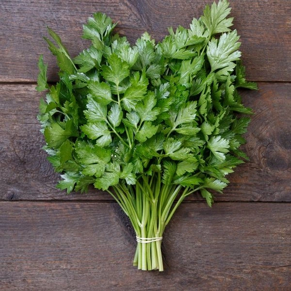 Parsley /  अजमोद - 200 gm