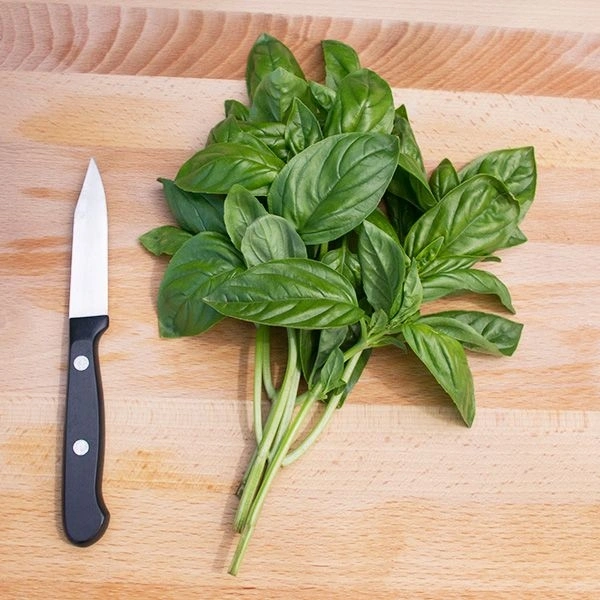 Basil /तुलसी - 50 gm