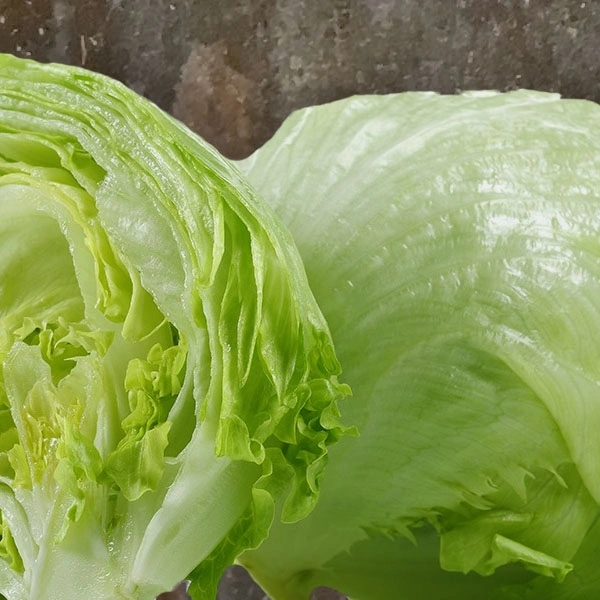 Iceberg - 500 gm