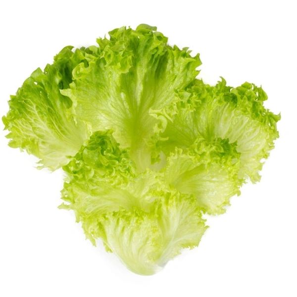 Lettuce / सलाद पत्ता - 100 gm