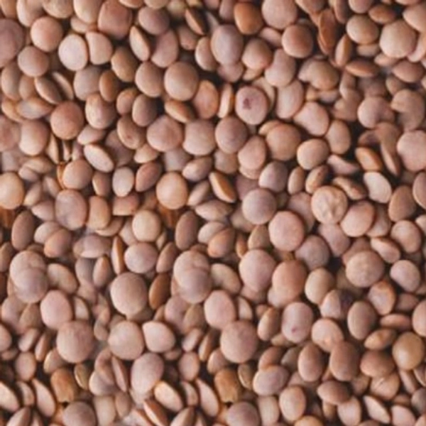 Khadi Masoor Dal (Loose) - 500g