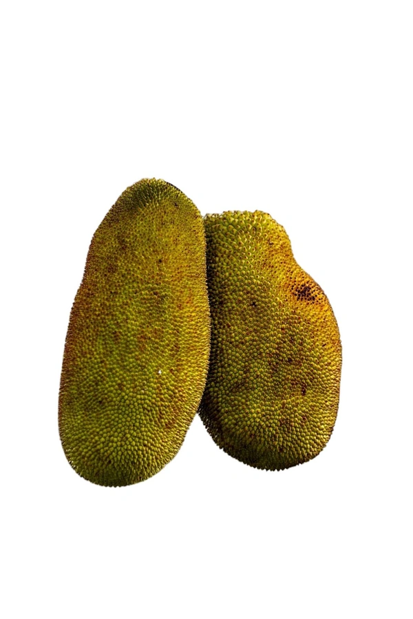 Jackfruit - 500g - 600g Approx
