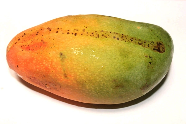 Mango Badami