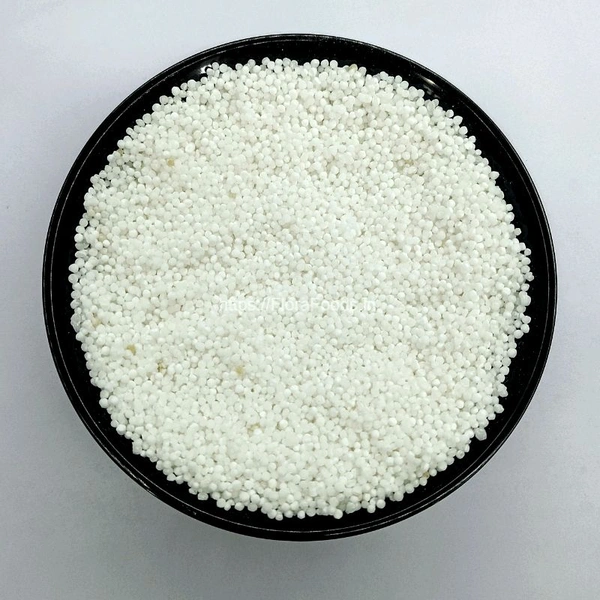 Loose Sabodana - 500 gm, Moti