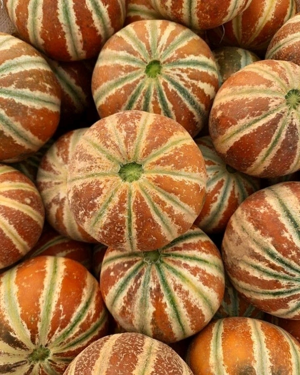 Muskmelon(red)/ खरबूजा/kharbuja - 1Kg