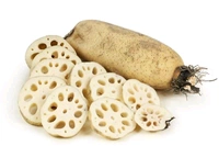 Lotus Stem - 500 gm