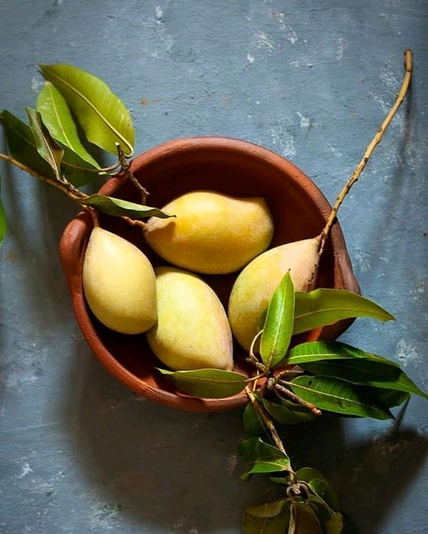 Totapari Mango