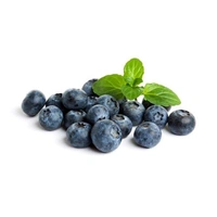Blueberry 