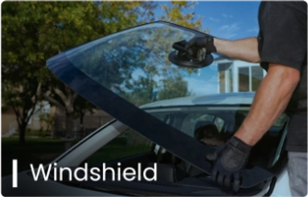 Windshield