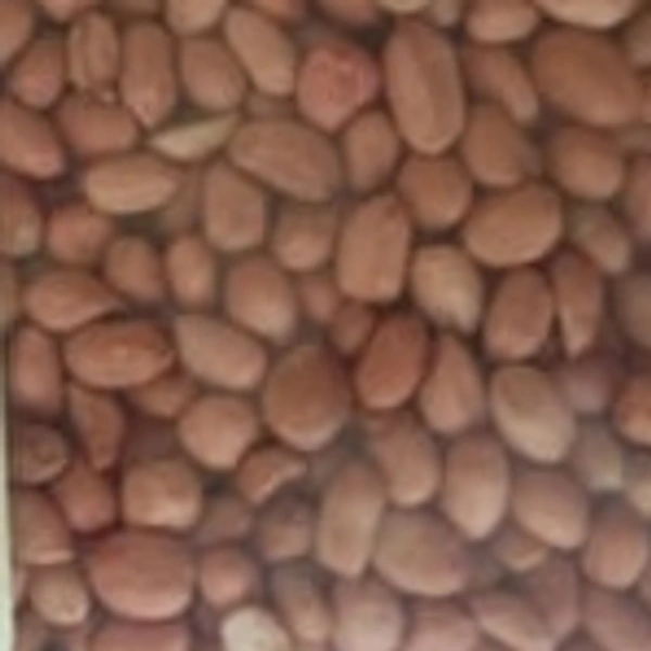Moongfali 500g