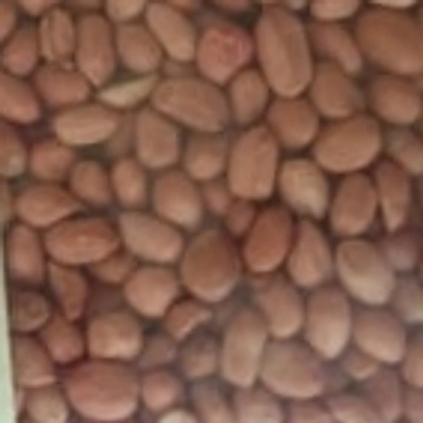 Moongfali 1kg