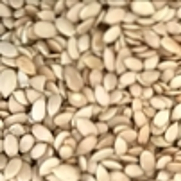 Tarbuj beej 50g