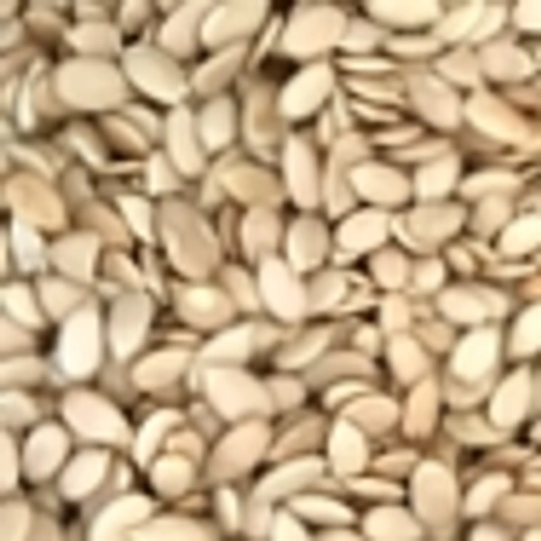 Tarbuj beej 250g
