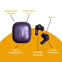 TESSCO IBUD-427 TWS Earbuds, Bluetooth 5.0, 30H Playback, 1000H Standby Time, HD Calls, Voice Assistant, Sweat & Water Resistant, Touch Control, 10m Range, Long Battery Life