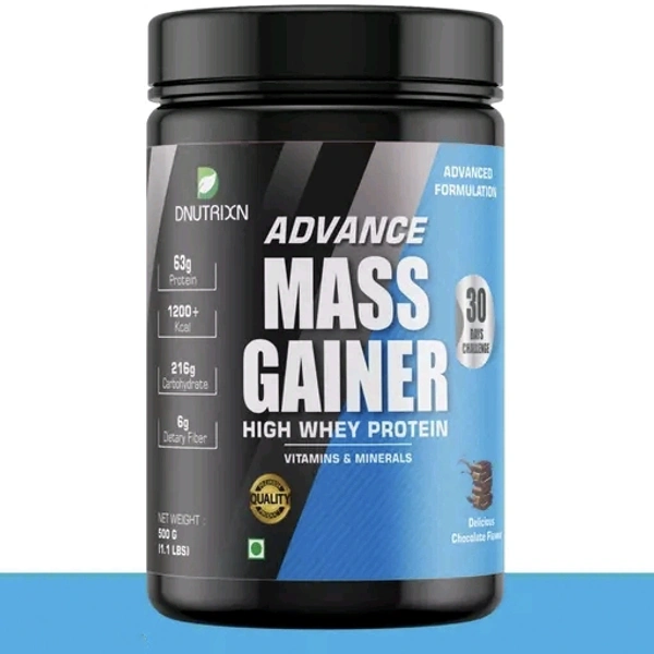 Protein Powder 
