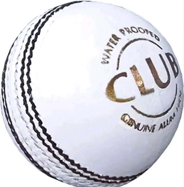 Leather Ball (Pack Of 1)