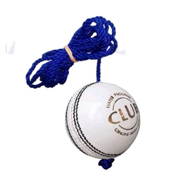 Hanging Leather Ball