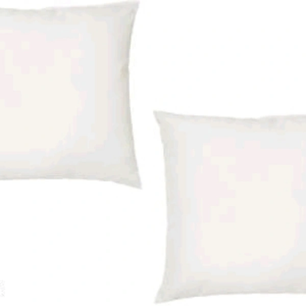 Cushion Pillow Set Of 2 - yes, 2 days, free, 16 by 16