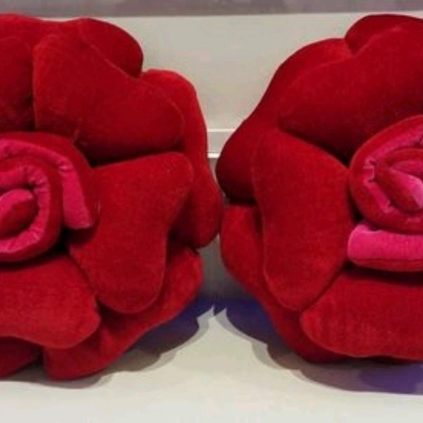 Designer Cushion Cover Set Of 2 - yes, 2 days, free