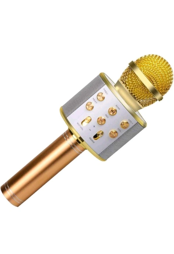 ZVR BLUETOOTH MICROPHONE SPEAKER 