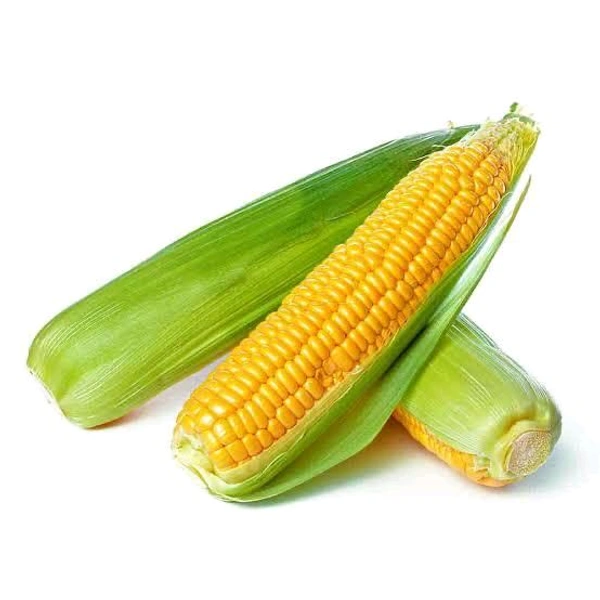 Sweet Corn - 2 Piece