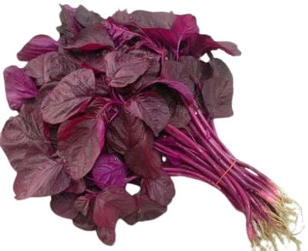 Amaranthus Red - 1 Bunch 