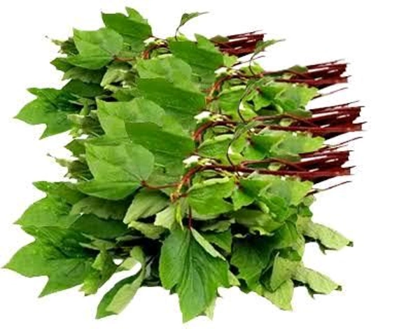 Gongura - 1 Bunch