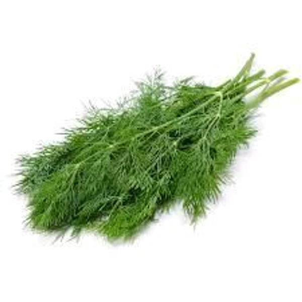 Dill