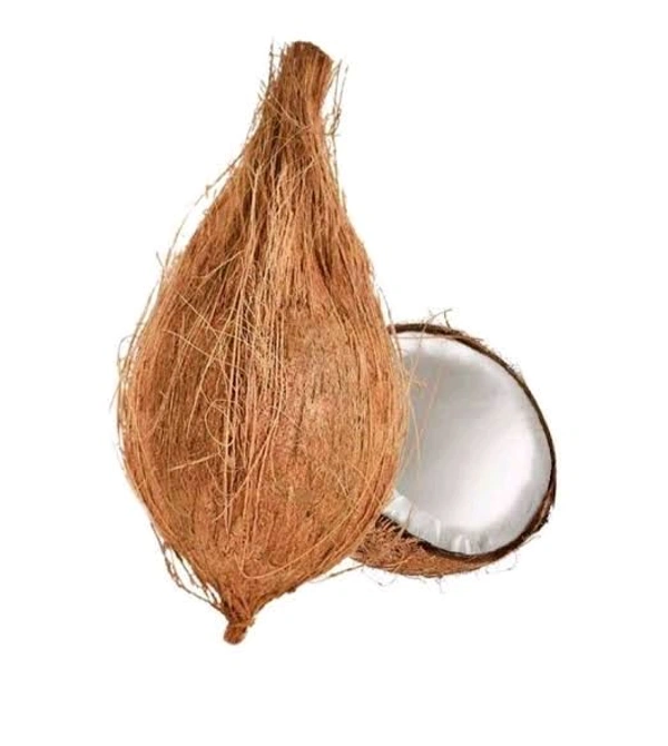 Coconut (Big) - 1 Piece